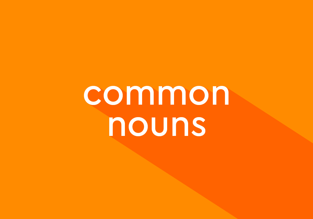 common nouns in living room