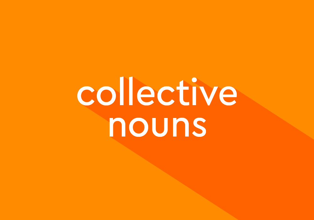 What Is a Collective Noun? 