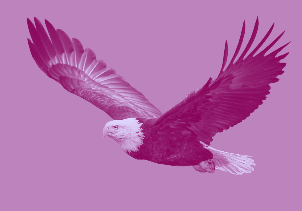 12 Synonyms For Freedom