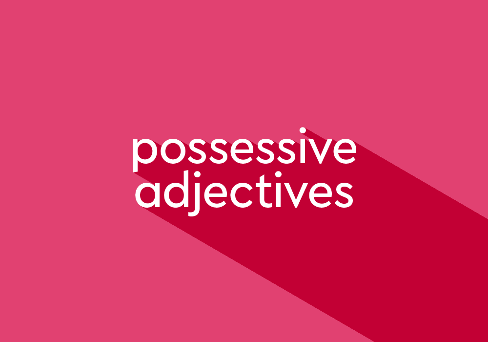 what-is-a-possessive-adjective-thesaurus