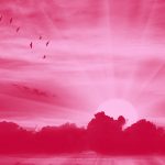 14 Words That Capture The Beauty And Charm Of English