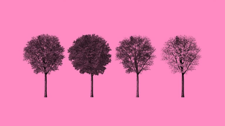 4 trees representing each season on pink background