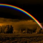 rainbow over field