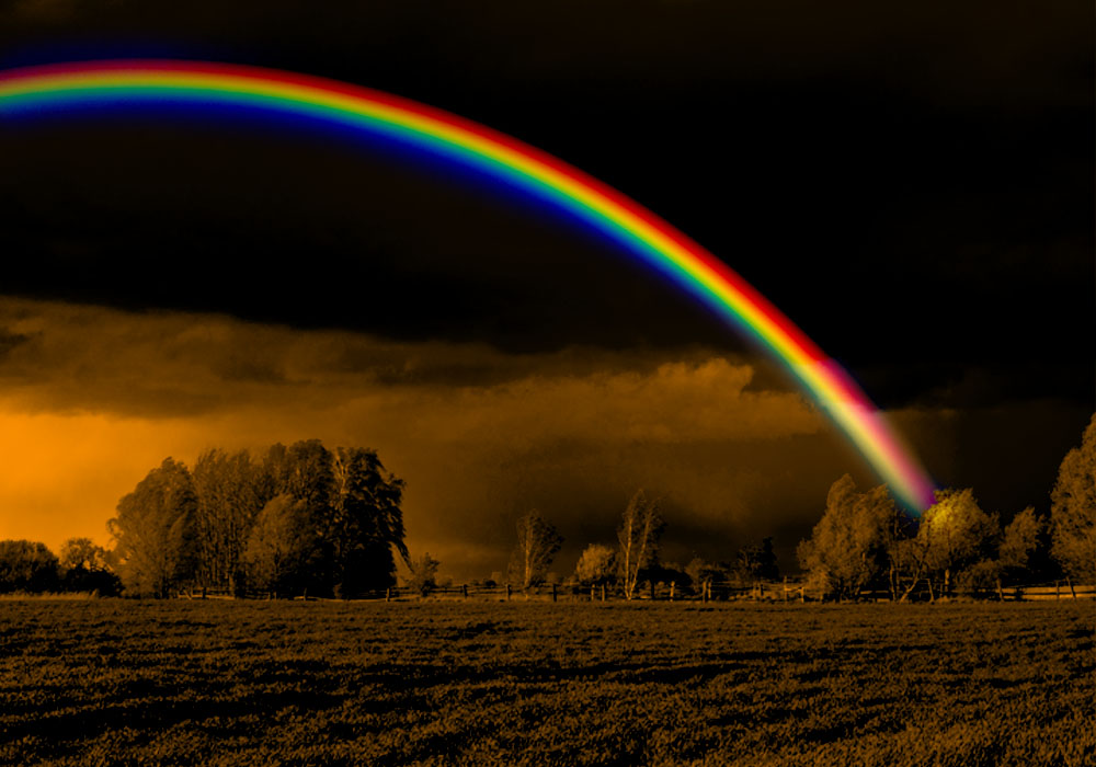 13 Vivid Synonyms For Rainbow