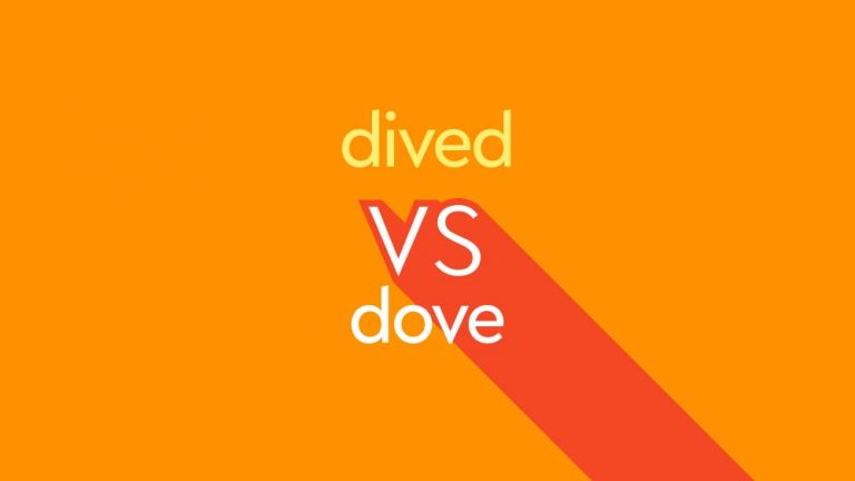 light orange text dived vs dove on dark orange background