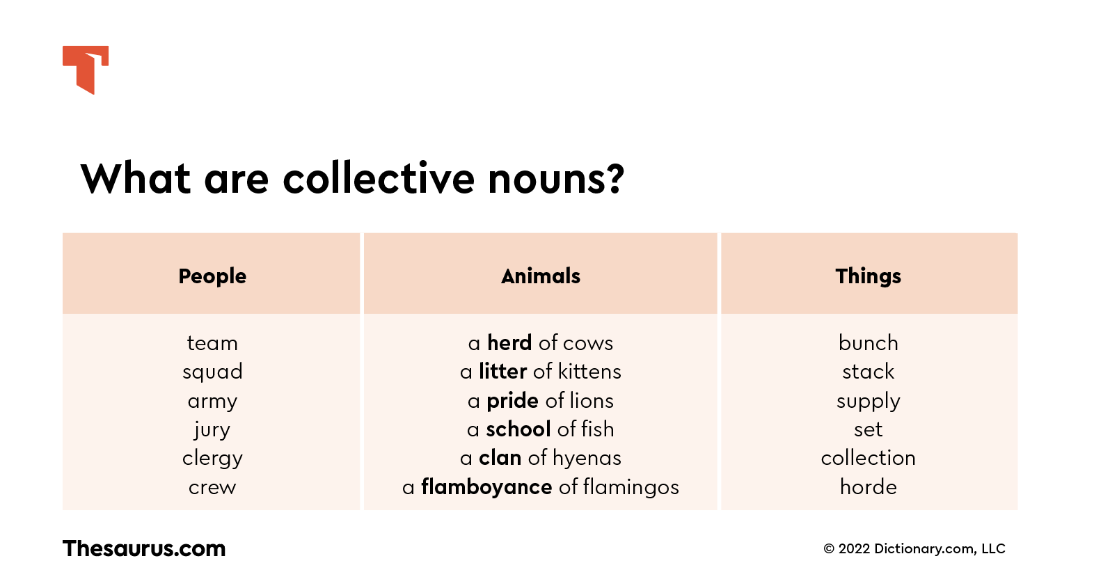 What Is a Collective Noun?
