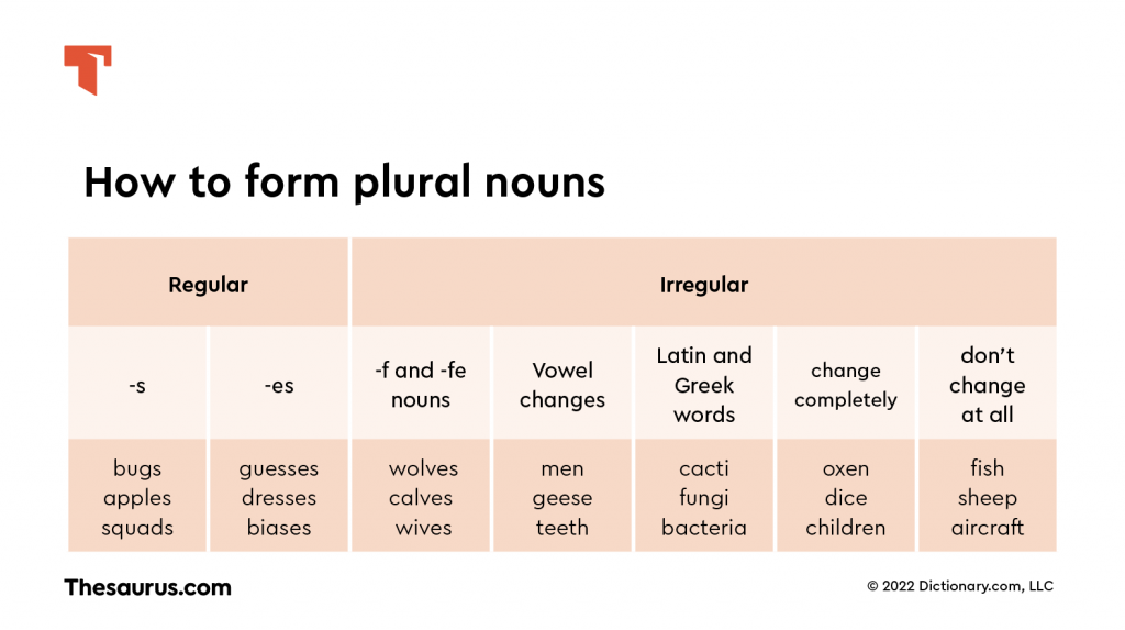 How to form plural nouns chart