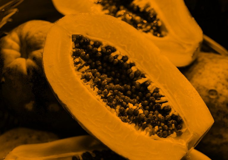tropical fruit; orange filter