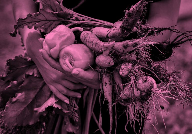 vegetables; pink filter