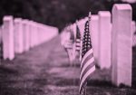 memorial day, cemetery, flags, pink filter