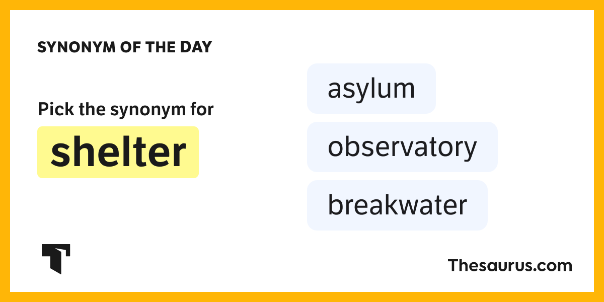 Synonym of the Day asylum