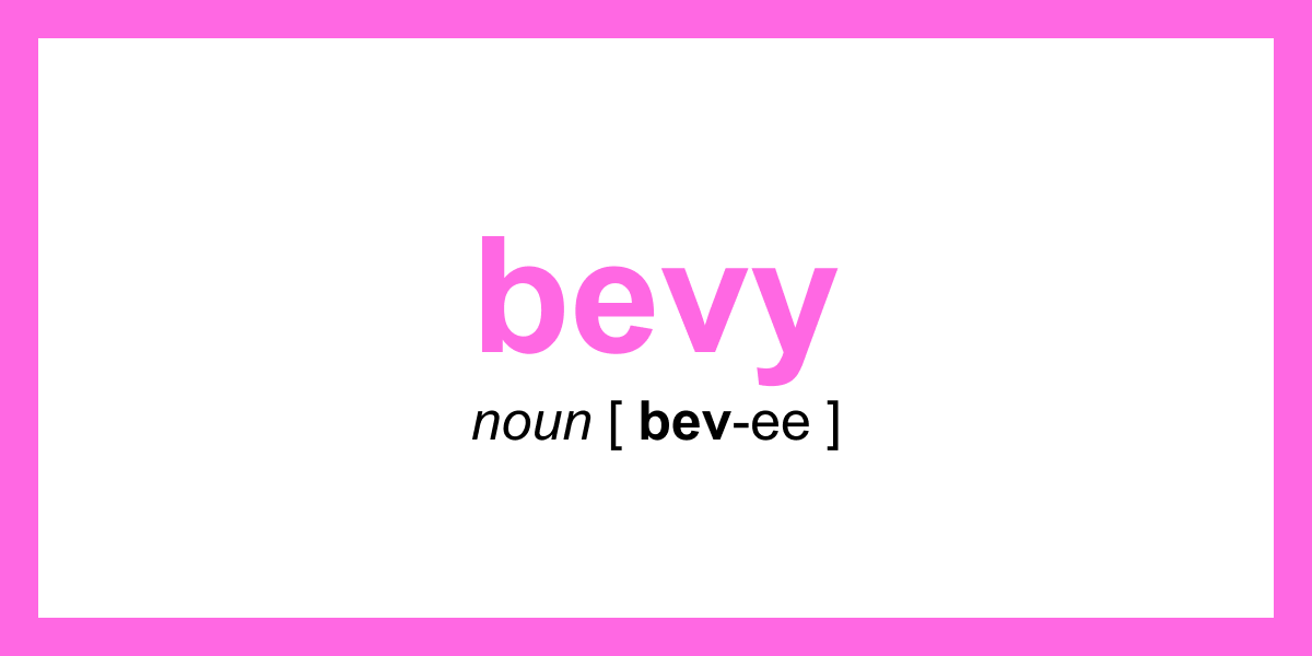 Synonym of the Day bevy